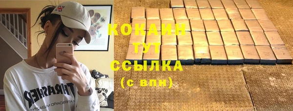 твердый Козельск