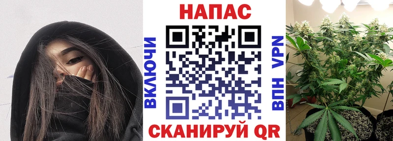 shop телеграм  Сурск  Бошки марихуана семена 